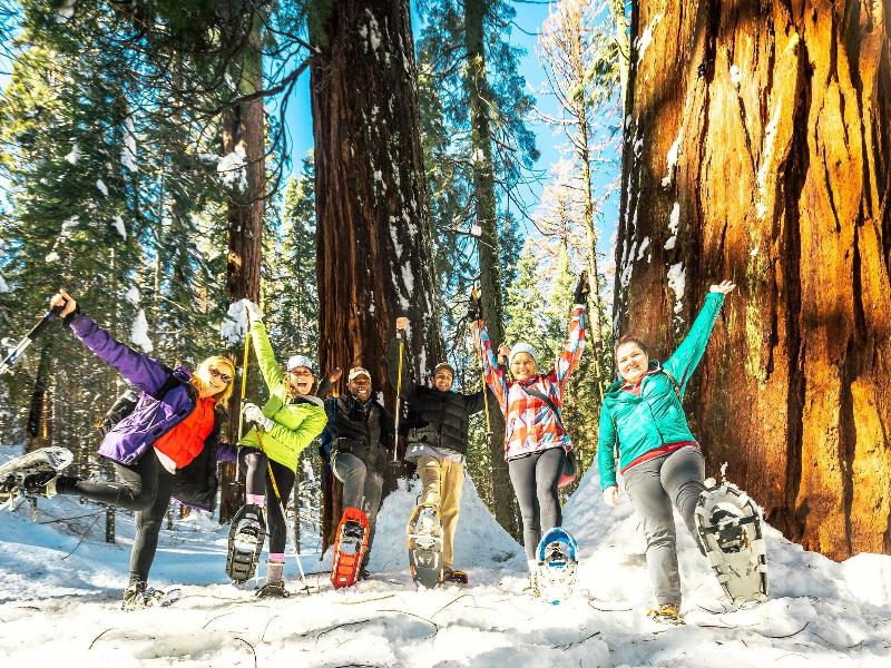 Evergreen Lodge At Yosemite image