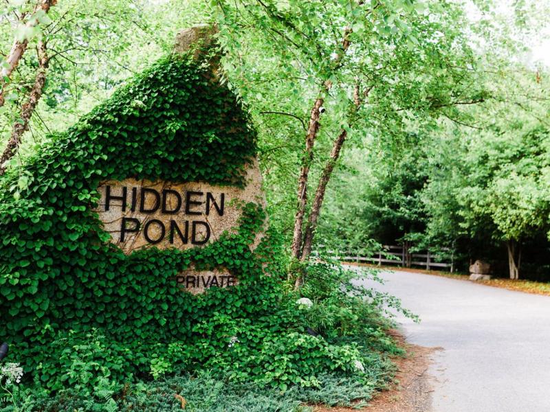 Hidden Pond image