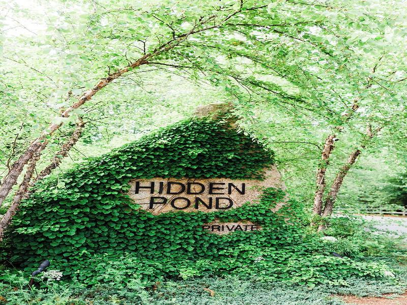 Hidden Pond image