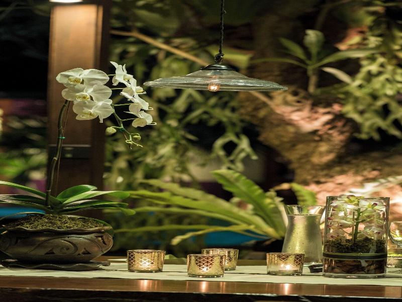 Chandra Residence image