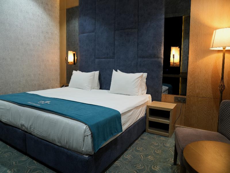 Iris Hotel Baku  image