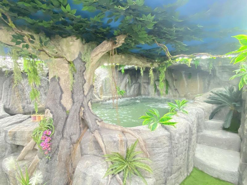 Futurotel Granada Spa Garden image
