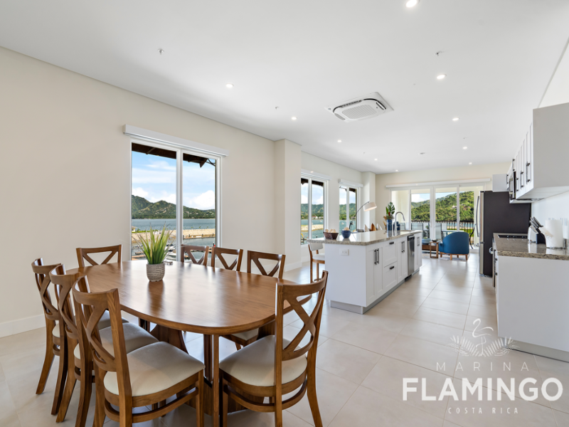 Marina Flamingo image
