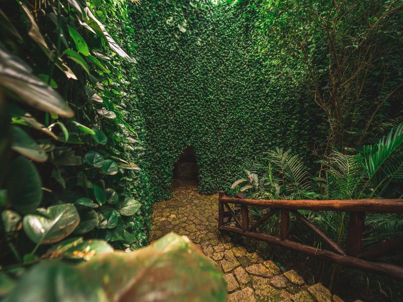 Destino Mío image