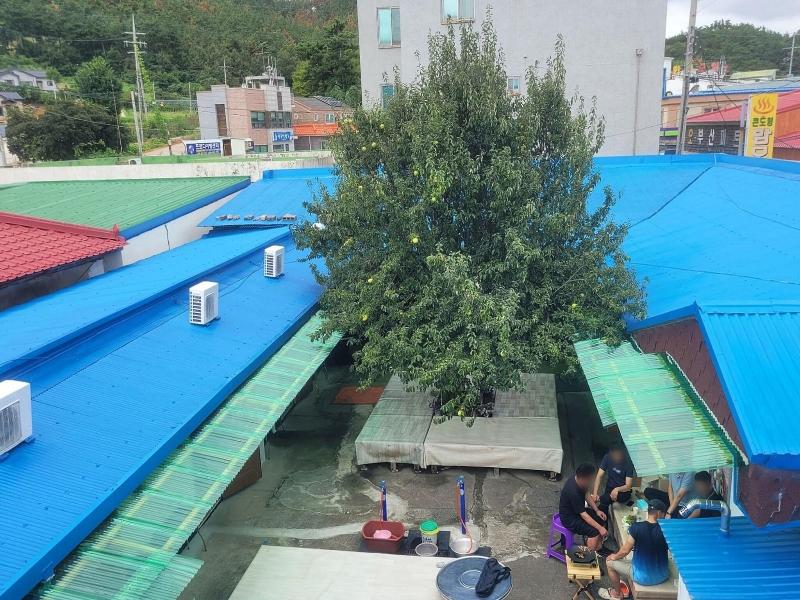 Taean Mammose Pension image