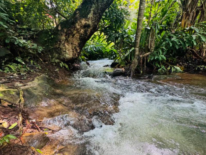 Encino House Hotel & Glamping Valle de Bravo — view
