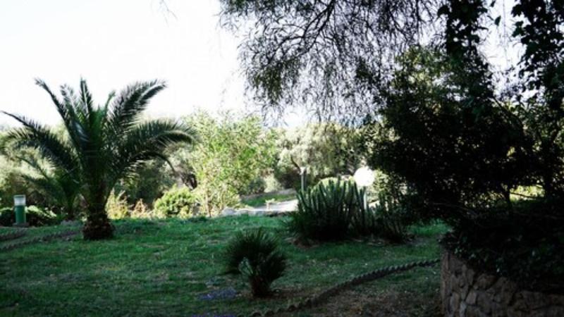 Creste e Mare image