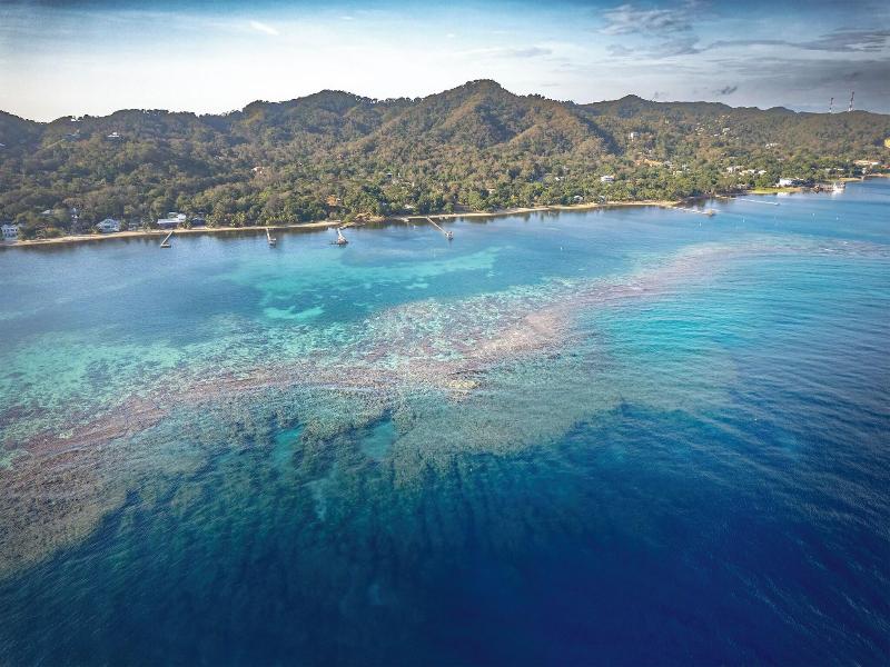 Puerta Azul image