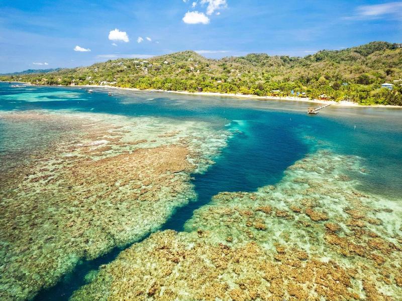Puerta Azul image