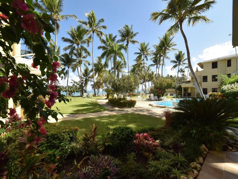 Cabarete Palm Beach Condos image
