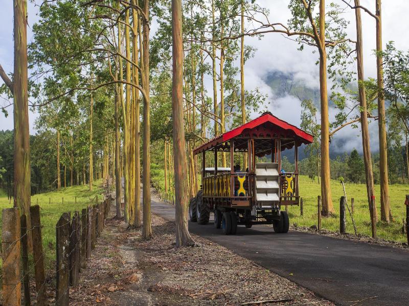 Arenal Observatory Lodge & Trails image