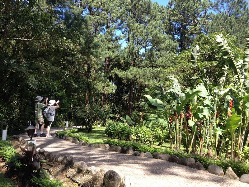 Arenal Observatory Lodge & Trails image