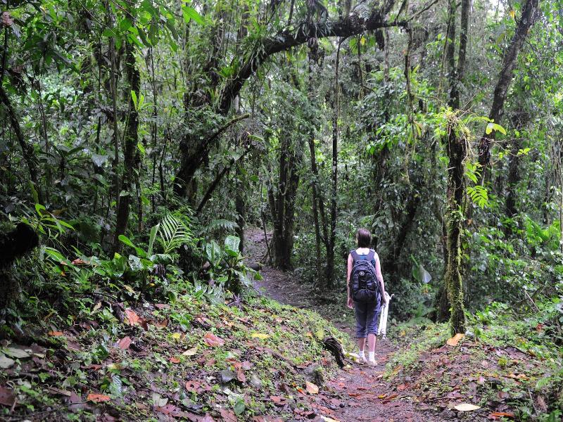 Arenal Observatory Lodge & Trails image