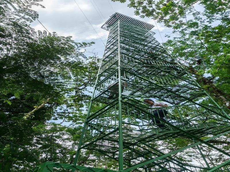 Arenal Observatory Lodge & Trails image