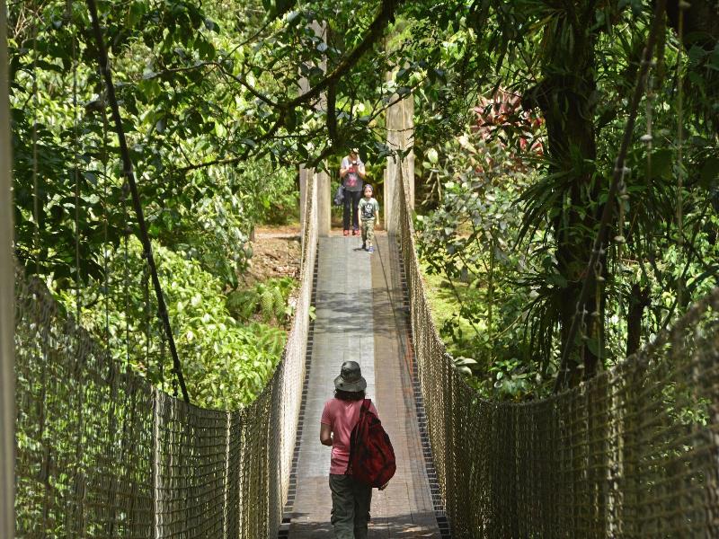 Arenal Observatory Lodge & Trails image