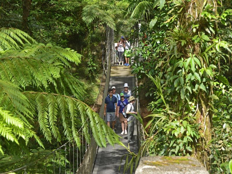 Arenal Observatory Lodge & Trails image