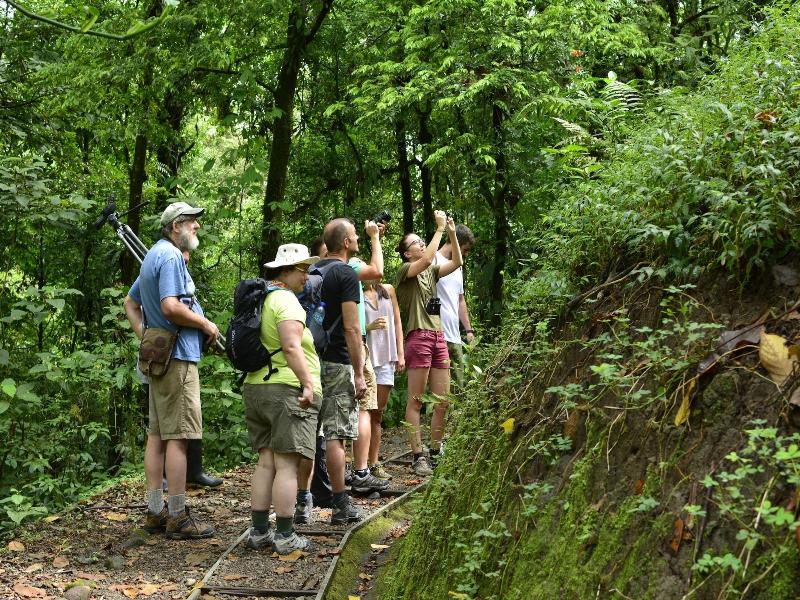 Arenal Observatory Lodge & Trails image