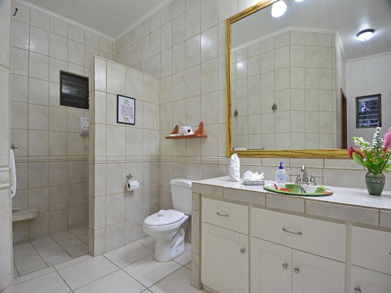 Arenal Observatory Lodge & Trails image