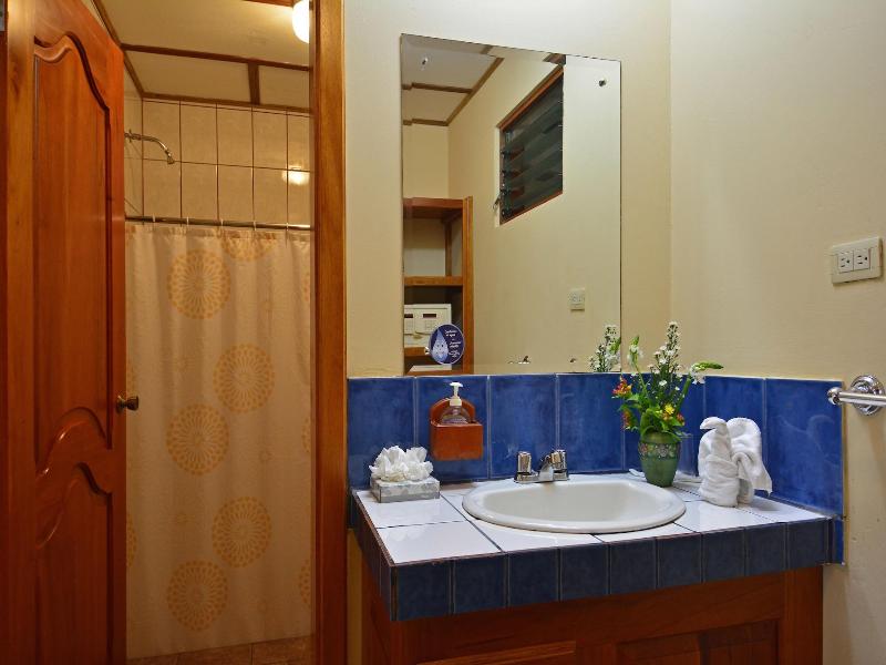 Arenal Observatory Lodge & Trails image