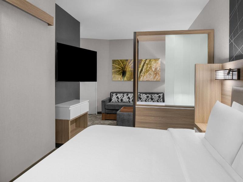 Springhill Suites By Marriott Riverside Redlands image
