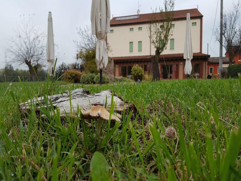 Locanda Veneta image