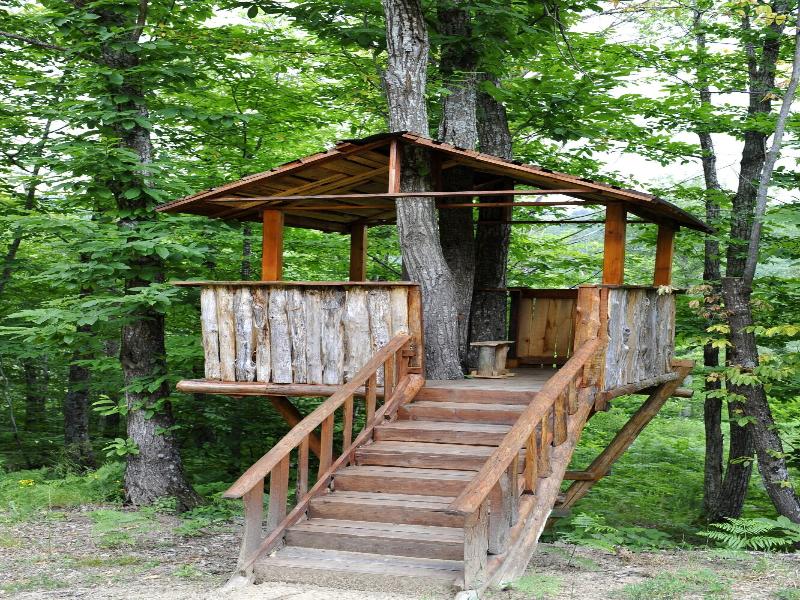 Borgo Caiano Country Inn image