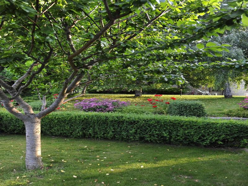 Borgo Caiano Country Inn image