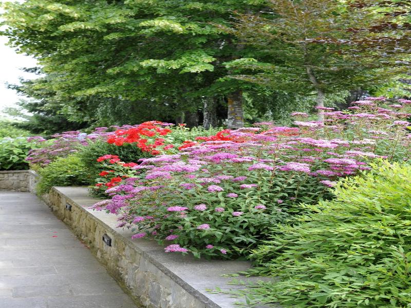 Borgo Caiano Country Inn image
