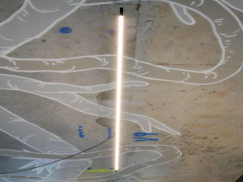 Dina Morgabine Saint Denis image