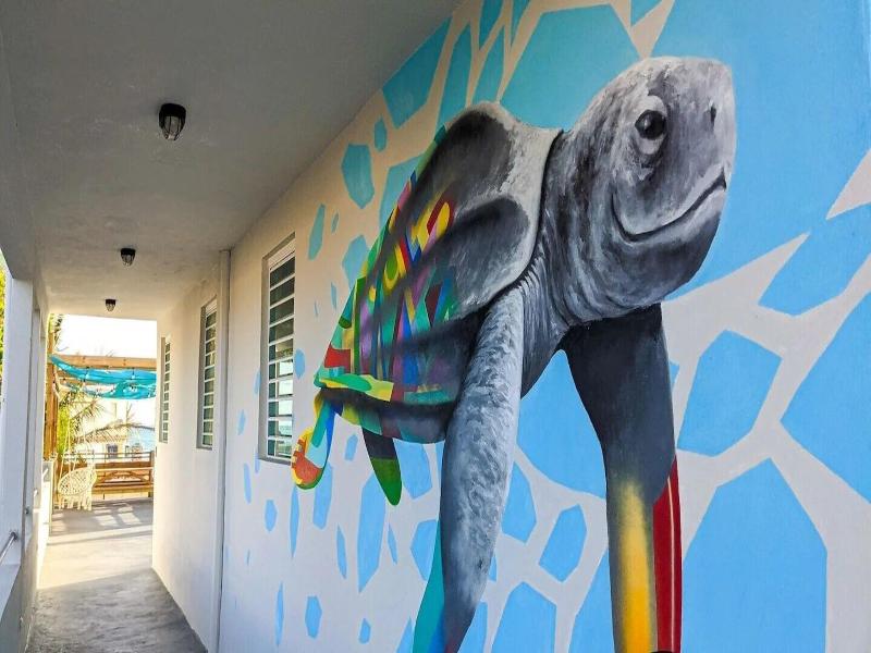 The Surfing Turtle image
