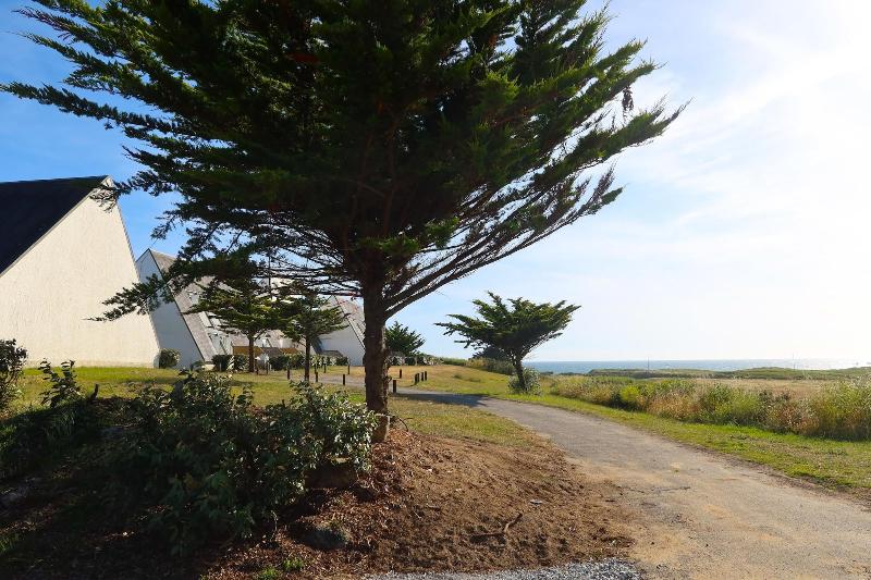 Résidence Sud Océan - Vacancéole image