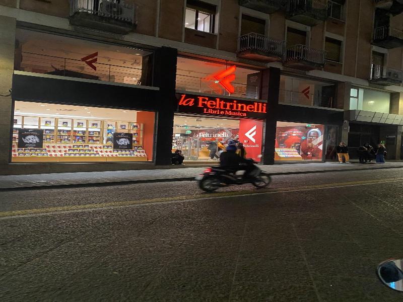 Papali 289 image