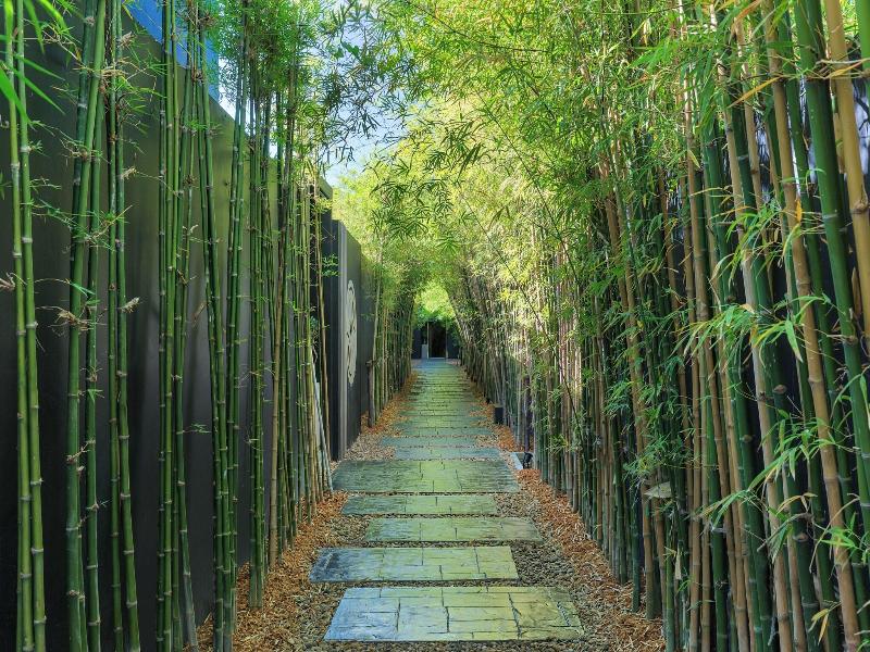 Villoft Zen Living image