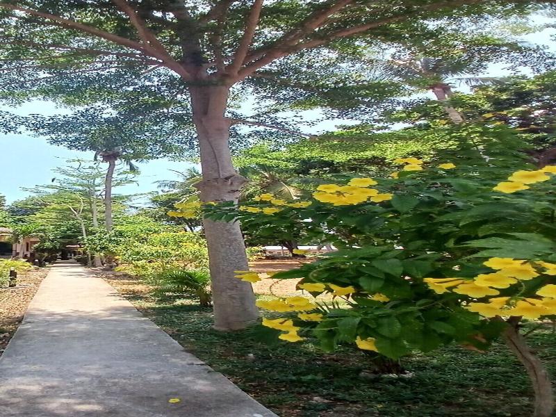 Baan Long Beach