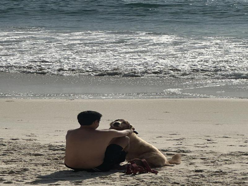 Marittimo Al Mare image