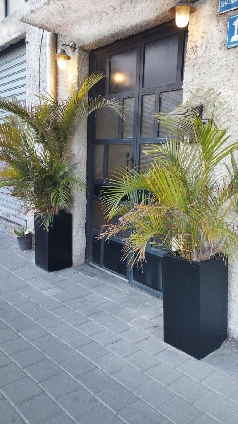Jojo Tlv image