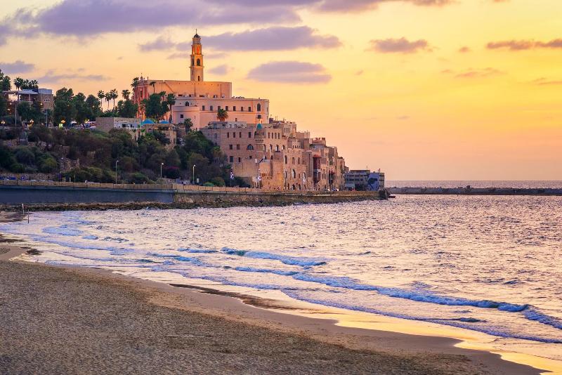 Jojo Tlv image