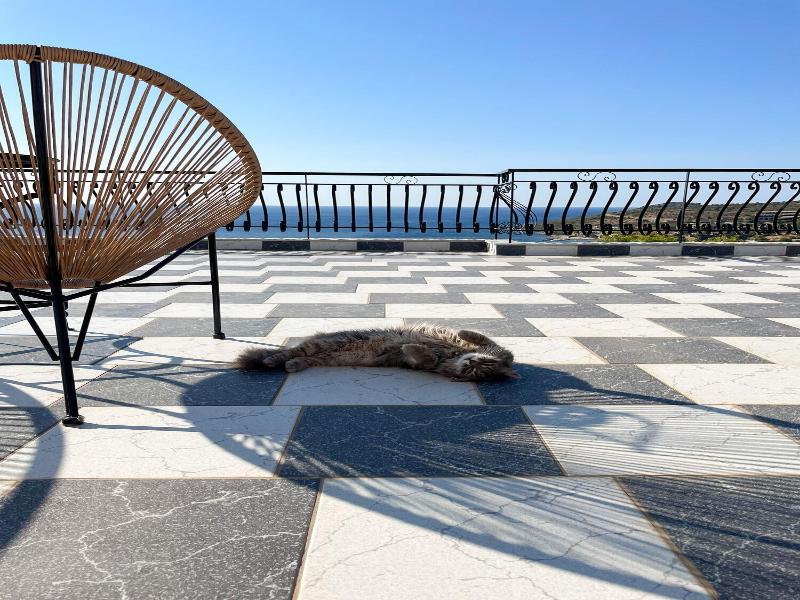 Pefkides Aegina Boutique Apartments image
