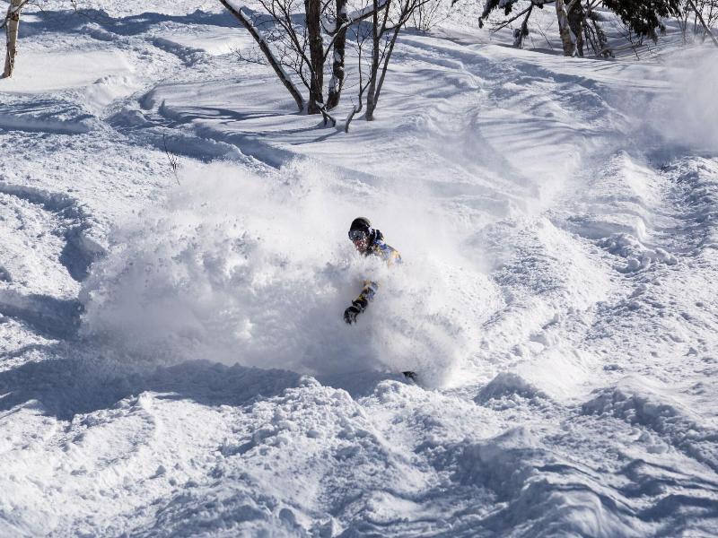 The Orchards Niseko