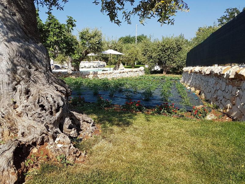 Almapetra Trulli Resort image
