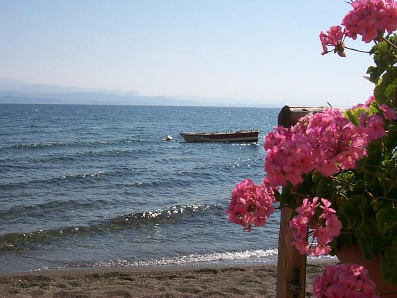 Artemis Hotel image