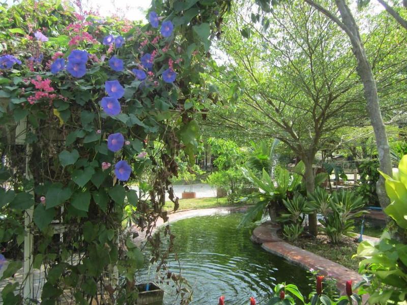 Cowboy Farm Resort Pattaya image