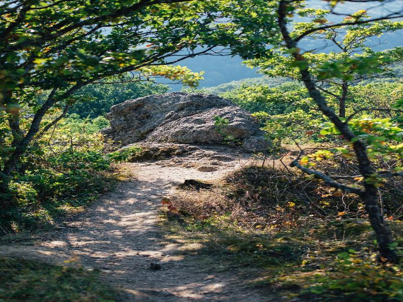 Domaine Du Hirtz image
