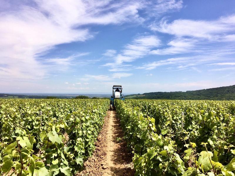 Domaine Joseph Lafarge image
