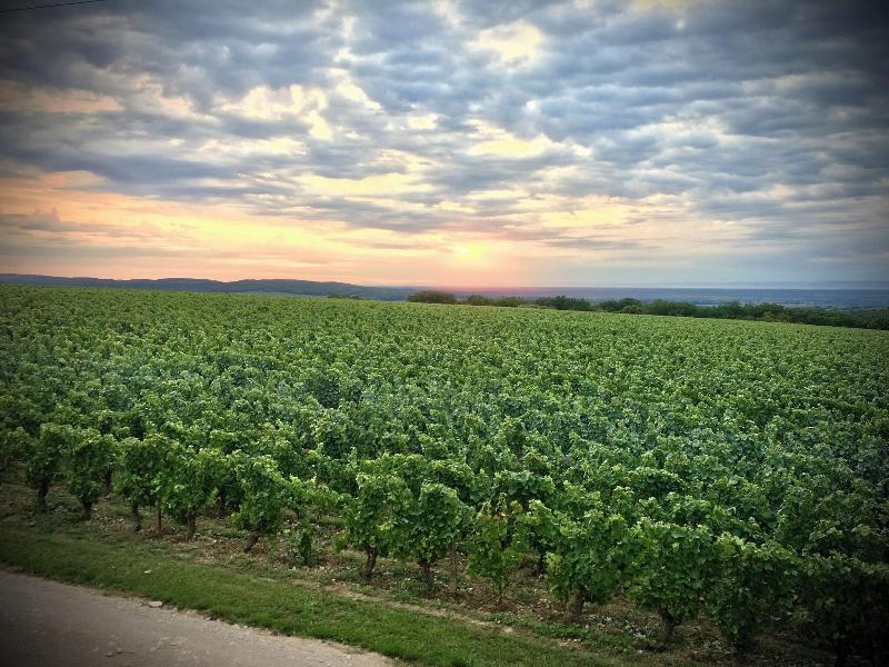 Domaine Joseph Lafarge image