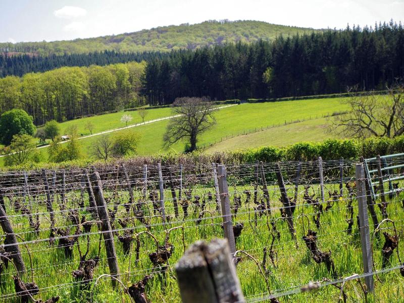 Domaine Joseph Lafarge image