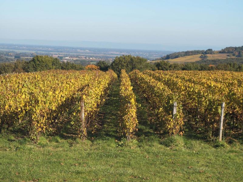 Domaine Joseph Lafarge image