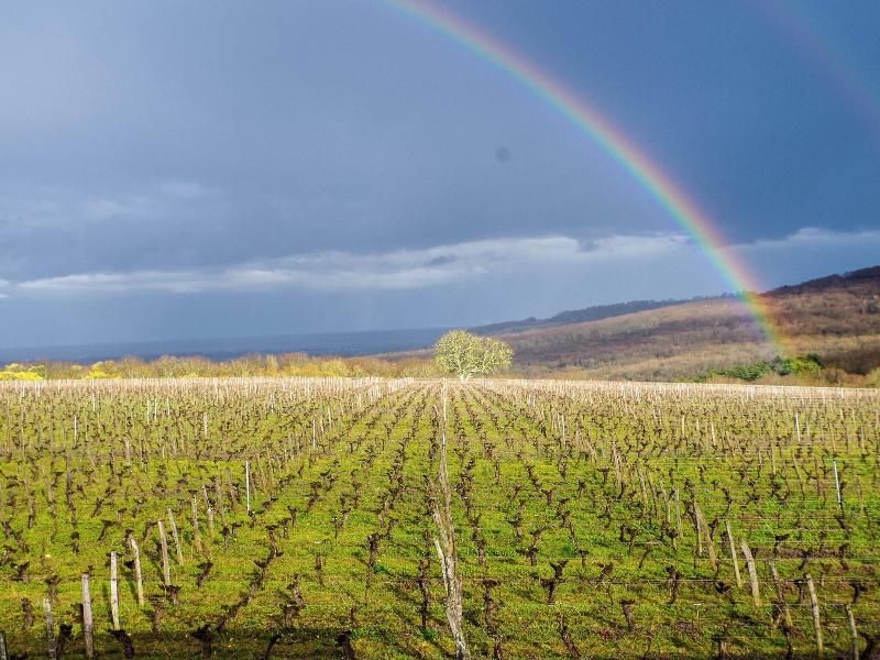 Domaine Joseph Lafarge image