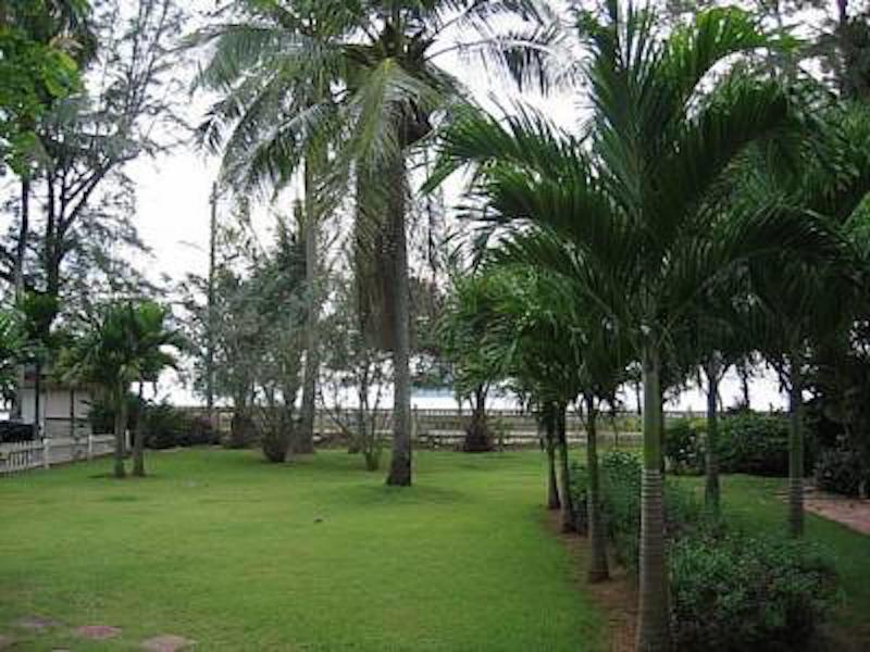 Pakmeng Resort image