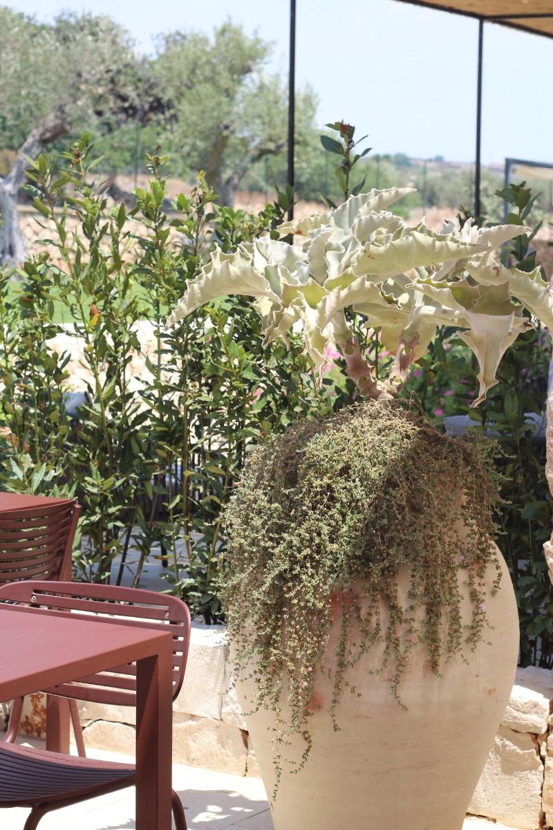 Poggio Leano image